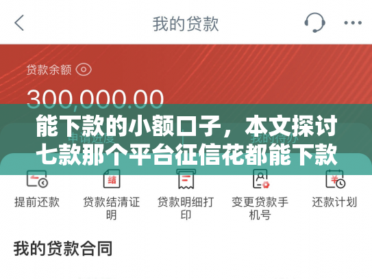 能下款的小额口子，本文探讨七款那个平台征信花都能下款