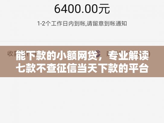 能下款的小额网贷，专业解读七款不查征信当天下款的平台