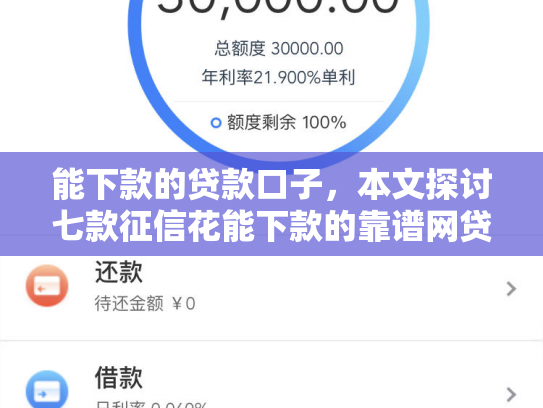 能下款的贷款口子，本文探讨七款征信花能下款的靠谱网贷