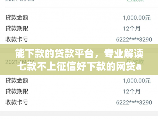 能下款的贷款平台，专业解读七款不上征信好下款的网贷app