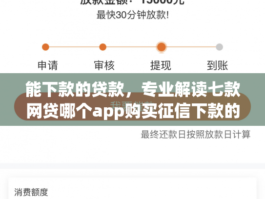 能下款的贷款，专业解读七款网贷哪个app购买征信下款的6