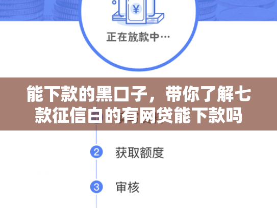 能下款的黑口子，带你了解七款征信白的有网贷能下款吗