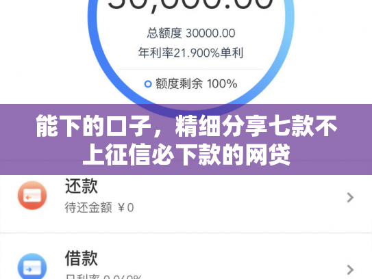 能下的口子，精细分享七款不上征信必下款的网贷