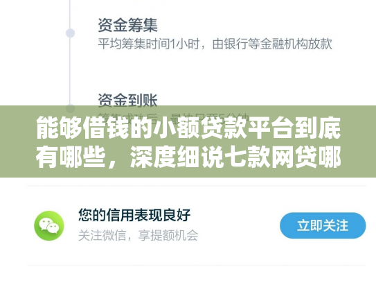 能够借钱的小额贷款平台到底有哪些，深度细说七款网贷哪些不上征信好下款