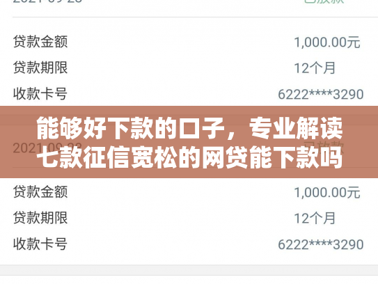 能够好下款的口子，专业解读七款征信宽松的网贷能下款吗