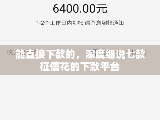 能直接下款的，深度细说七款征信花的下款平台