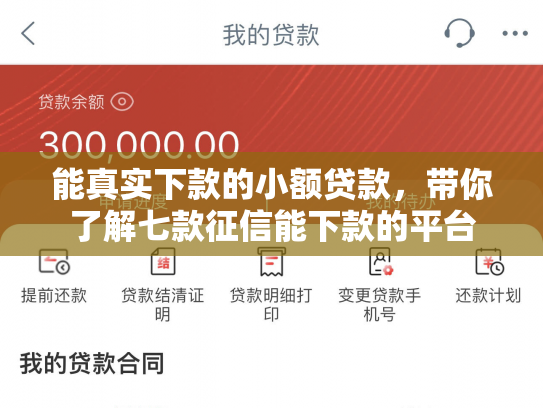 能真实下款的小额贷款，带你了解七款征信能下款的平台