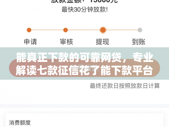 能真正下款的可靠网贷，专业解读七款征信花了能下款平台