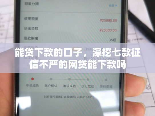 能贷下款的口子，深挖七款征信不严的网贷能下款吗