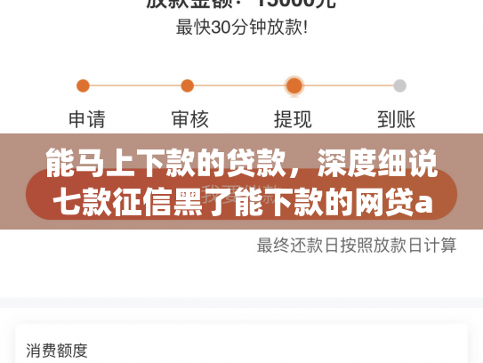 能马上下款的贷款，深度细说七款征信黑了能下款的网贷app