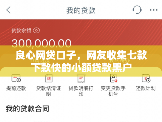 良心网贷口子，网友收集七款下款快的小额贷款黑户