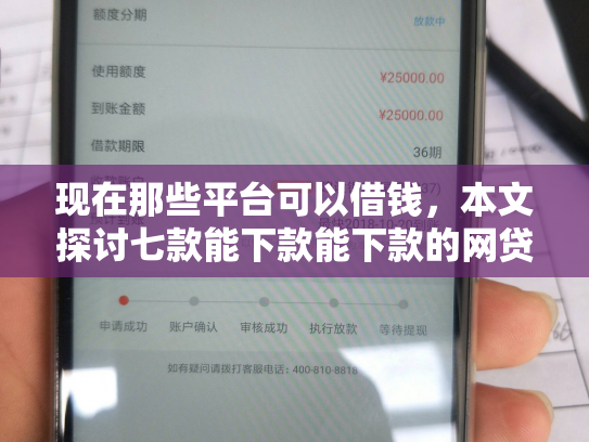 现在那些平台可以借钱，本文探讨七款能下款能下款的网贷口子