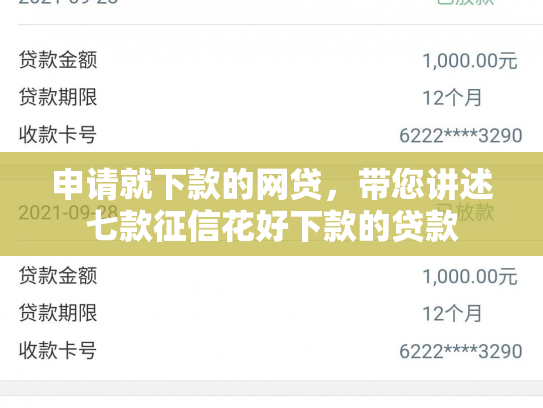 申请就下款的网贷，带您讲述七款征信花好下款的贷款