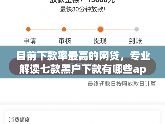 目前下款率最高的网贷，专业解读七款黑户下款有哪些app