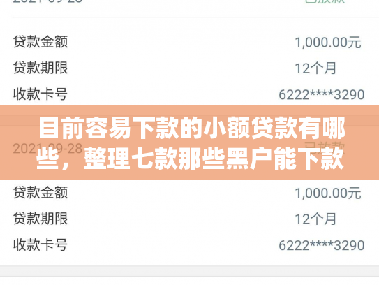 目前容易下款的小额贷款有哪些，整理七款那些黑户能下款的app