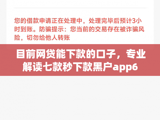 目前网贷能下款的口子，专业解读七款秒下款黑户app6