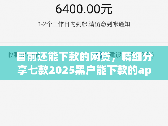目前还能下款的网贷，精细分享七款2025黑户能下款的app