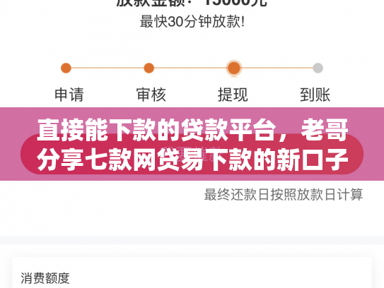直接能下款的贷款平台，老哥分享七款网贷易下款的新口子