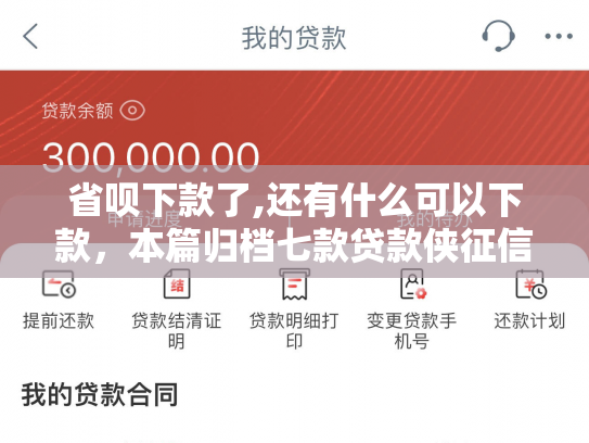 省呗下款了,还有什么可以下款，本篇归档七款贷款侠征信不好能下款嘛
