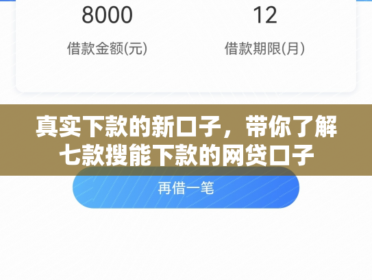 真实下款的新口子，带你了解七款搜能下款的网贷口子