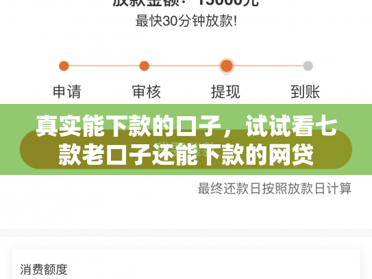 真实能下款的口子，试试看七款老口子还能下款的网贷