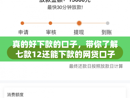 真的好下款的口子，带你了解七款12还能下款的网贷口子
