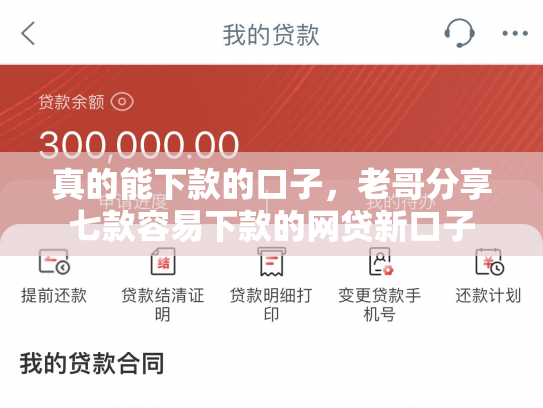 真的能下款的口子，老哥分享七款容易下款的网贷新口子
