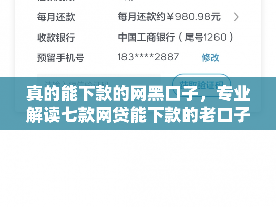 真的能下款的网黑口子，专业解读七款网贷能下款的老口子