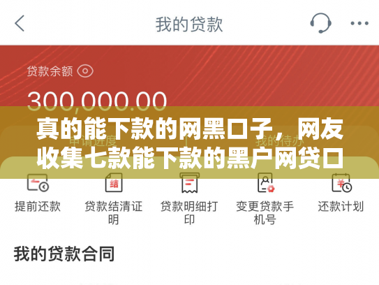 真的能下款的网黑口子，网友收集七款能下款的黑户网贷口子