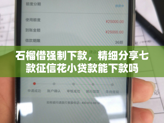 石榴借强制下款，精细分享七款征信花小贷款能下款吗