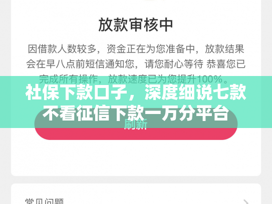 社保下款口子，深度细说七款不看征信下款一万分平台