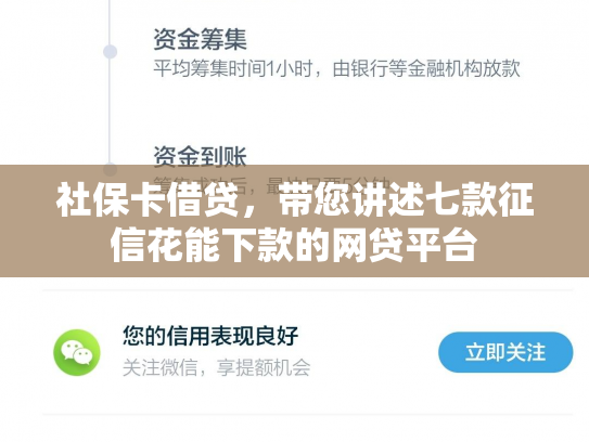 社保卡借贷，带您讲述七款征信花能下款的网贷平台
