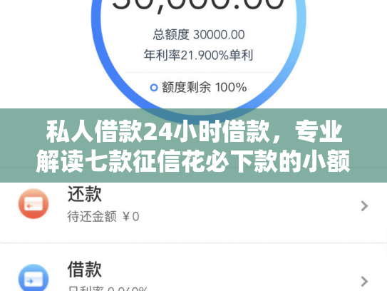 私人借款24小时借款，专业解读七款征信花必下款的小额贷款