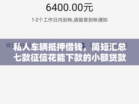 私人车辆抵押借钱，简短汇总七款征信花能下款的小额贷款