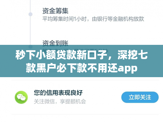 秒下小额贷款新口子，深挖七款黑户必下款不用还app