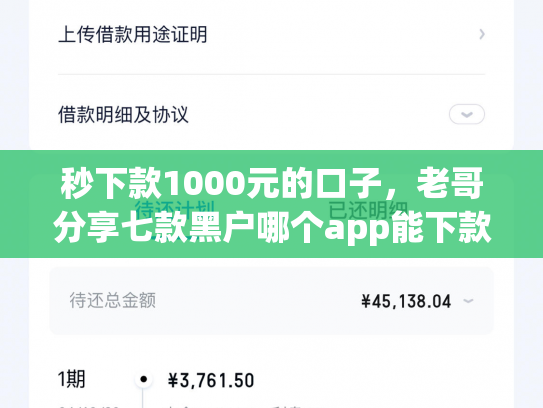 秒下款1000元的口子，老哥分享七款黑户哪个app能下款