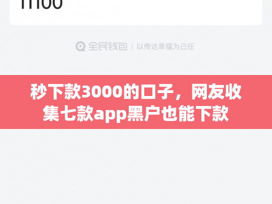 秒下款3000的口子，网友收集七款app黑户也能下款