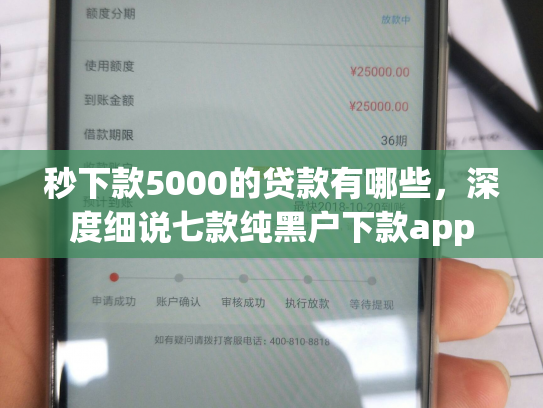 秒下款5000的贷款有哪些，深度细说七款纯黑户下款app