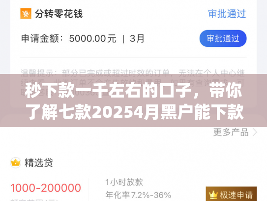 秒下款一千左右的口子，带你了解七款20254月黑户能下款app