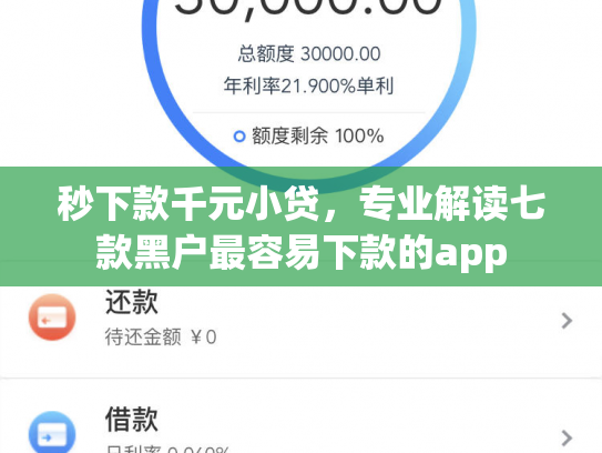 秒下款千元小贷，专业解读七款黑户最容易下款的app
