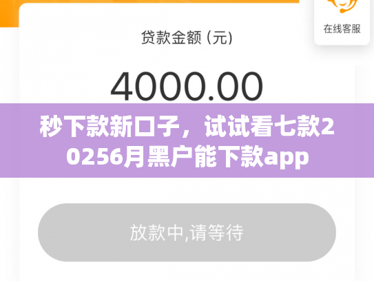 秒下款新口子，试试看七款20256月黑户能下款app