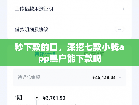 秒下款的口，深挖七款小钱app黑户能下款吗