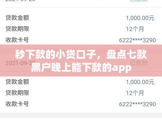 秒下款的小贷口子，盘点七款黑户晚上能下款的app