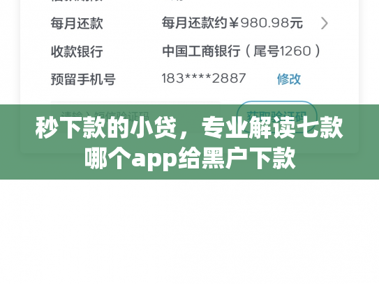 秒下款的小贷，专业解读七款哪个app给黑户下款