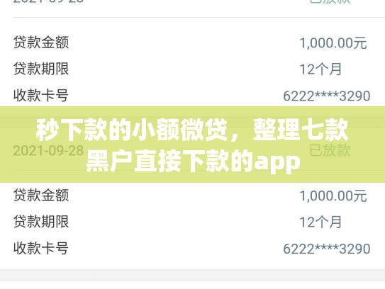 秒下款的小额微贷，整理七款黑户直接下款的app