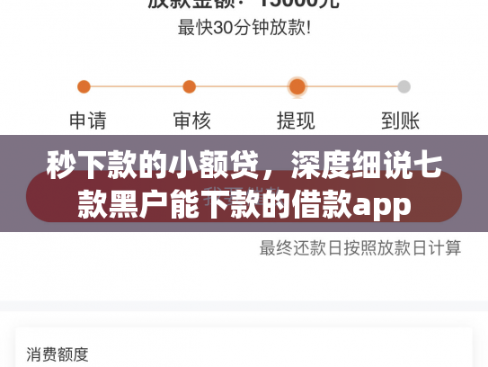 秒下款的小额贷，深度细说七款黑户能下款的借款app