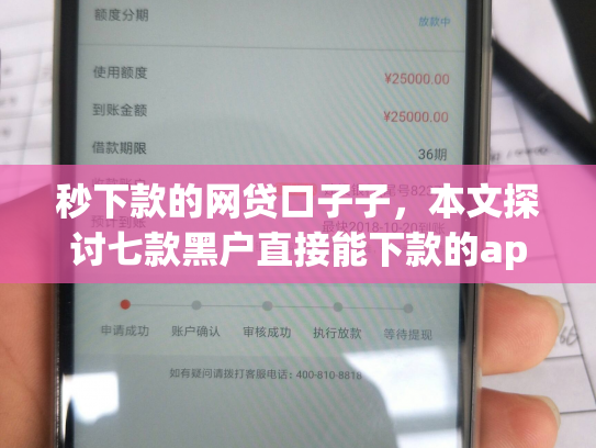秒下款的网贷口子子，本文探讨七款黑户直接能下款的app