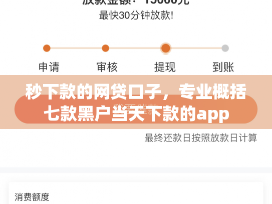 秒下款的网贷口子，专业概括七款黑户当天下款的app