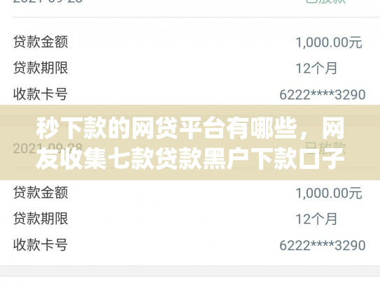 秒下款的网贷平台有哪些，网友收集七款贷款黑户下款口子app