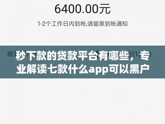 秒下款的贷款平台有哪些，专业解读七款什么app可以黑户下款